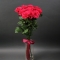 Букет 11 роз Хот Эксплорер - Фото 2