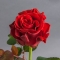 Троянда Ель Торо - Фото 1