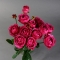 Троянда Річ Бабблз стандарт - Фото 4