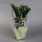 Zamioculcas in a gift bag - Photo 2