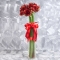 Bouquet of red amaryllis - Photo 3