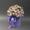 Подарункова композиція в капелюшній коробці з трояндами Лавендер Бабблз - Фото 2