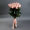 Букет 25 троянд Пома Роса - Фото 1