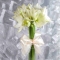 Букет из белых амариллисов - Фото 2