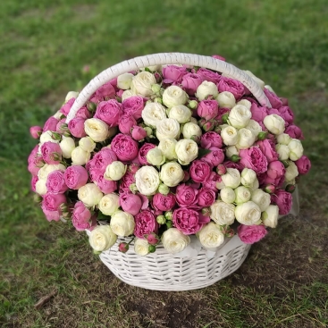 Snow Wold and Misty Bubbles basket of roses