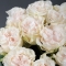 Bouquet of 11 Cotton Expression Roses - Photo 4