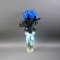 Bouquet of 9 blue roses (dyed) - Photo 3