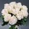 Bouquet of 11 Cotton Expression Roses - Photo 2