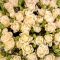 Троянди Сноу Флейк у капелюшній коробці - Фото 6