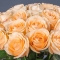 Букет із 25 троянд Піч Аваланч - Фото 4