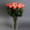 Роза Кахала в вазе - Фото 2