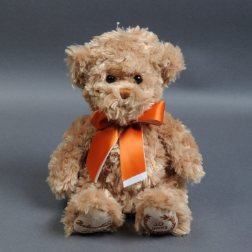 Soft toy bear Anthony 30 cm
