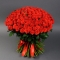 Букет із 151 троянди Ель Торо  - Фото 1