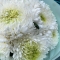 Bouquet of milky XL chrysanthemums  - Photo 4