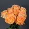 Bouquet of 9 Camel Roses - Photo 2