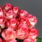 Букет із 25 троянд Джумілія - Фото 5
