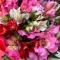 Bouquet of Alstroemerias - Photo 3