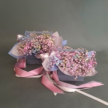 Композиція з райдужної гіпсофіли