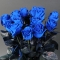 Букет 15 троянд Блакитна мрія - Фото 2