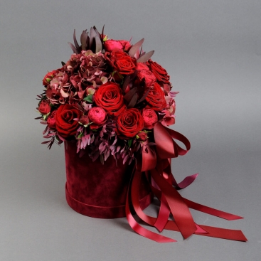 Composition Velvet Evening