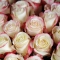 Букет 35 троянд Світнес - Фото 4