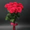 Bouquet of 11 roses Hot Explorer - Photo 1