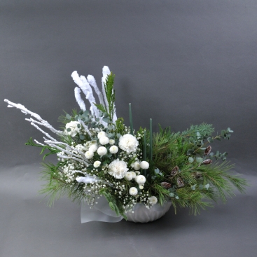 Composition “Snow Symphony”