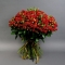 Букет 101 троянда спрей Ред Ванесса - Фото 2