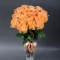 Bouquet of 19 Camel Roses - Photo 1