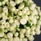 Bouquet of 41 Snow World spray roses - Photo 3