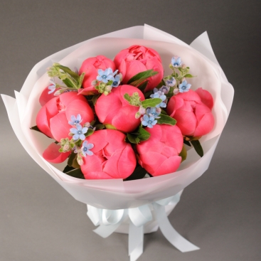 Букет пионов с оксипеталумом