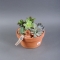 Композиція рослини в керамічному горщику 20х18 - Фото 3