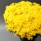 Assorted chrysanthemum in a pot - Photo 6