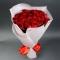 Букет из 25 роз Фридом - Фото 1