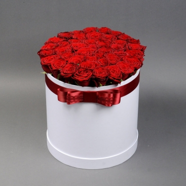 Red rose in white hatbox