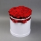 Красная роза в белой шляпной коробке - Фото 1