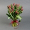 Букет из 25 красных пионовидных тюльпанов  - Фото 1