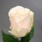 Троянда Шарман - Фото 2