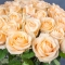 Bouquet of 35 roses Peach Avalanche - Photo 4