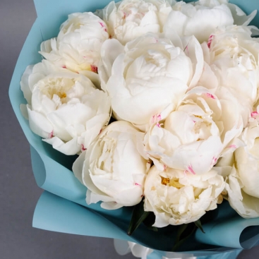 Букет 11 белых пионов 