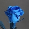 Синяя роза - Фото 2