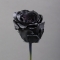 Black painted rose - Photo 1