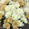 Букет хризантем мікс 2 - Фото 3