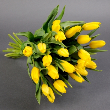 Bouquet of 21 yellow tulips