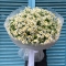 Bouquet of daisies Tanacetum - Photo 1