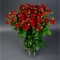 Троянда Ред Ванесса спрей - Фото 5