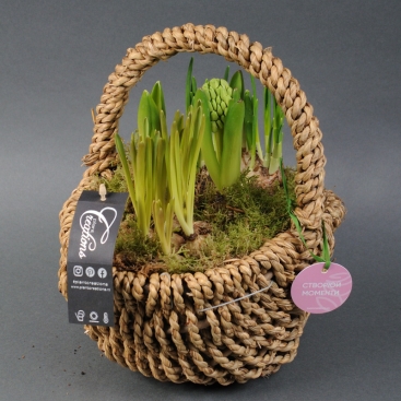 Bulbous flowers mix goll. in basket d30