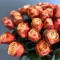 Bouquet of 41 roses Kahala - Photo 2