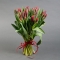 Букет из 25 красных пионовидных тюльпанов  - Фото 2