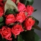 Букет 25 коралових троянд Такаци - Фото 4